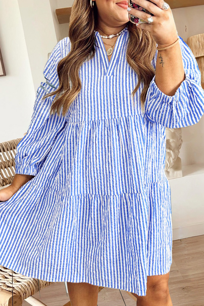 Blue Textured Puff Sleeve Dress