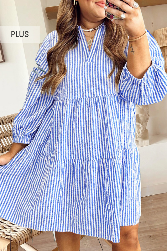 Blue Textured Puff Sleeve Dress